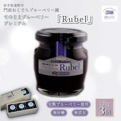 【ふるさと納税】そのままブルーベリー プレミアム「Rubel」100g×3個セット【1738478】