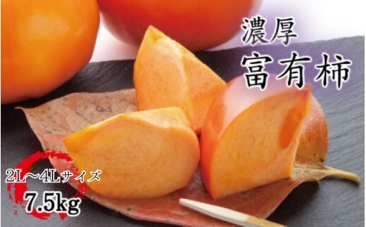 
                  【秋の美味】【和歌山ブランド】濃厚!富有柿　秀品　２L～４Ｌサイズ(約7.5kg入り)※2026年11月中旬頃～12月上旬頃順次発送予定【ard014E】
                
