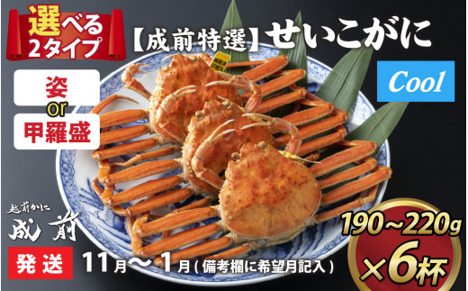 【先行予約】選べる！美味しさ直送【成前特選】 せいこがに（190g～220g）×6杯 甲羅盛【11月～1月発送】 [J-028054_07]