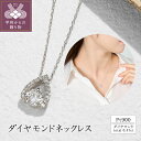 【ふるさと納税】 ネックレス ペンダント ダイヤモンド ジュエリー レディース アクセサリー メレダイヤモンド 0.47ct Pt900 セミフォーマル ギフト プレゼント ジュエリーケース付 鑑別書付 保証書付 k094-231