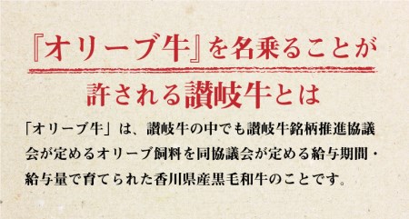 香川県産黒毛和牛 オリーブ牛 切り落とし600g_M04-0053