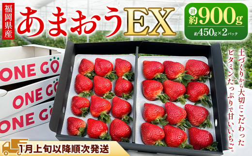 【ギフト用／特別栽培】 福岡県産 あまおう EX 約450g×2パック 【2027年1月上旬～3月下旬発送予定】 いちご イチゴ 苺 フルーツ 果物 くだもの ギフト 贈答用 贈り物 福岡県 遠賀町