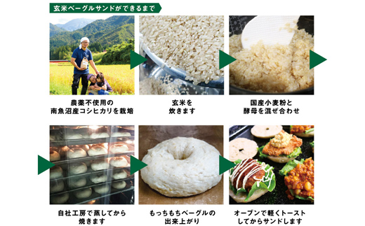 ＜定期便＞玄米ベーグル10個【冷凍】×12か月 栄養豊富・毎朝の習慣に_BR【定期便 玄米 ベーグル もちもち もっちり ふんわり 食物繊維 ミネラル 天然酵母 冷凍 無添加 手軽 国産小麦 おやつ 栄養 ヘルシー ごはん】