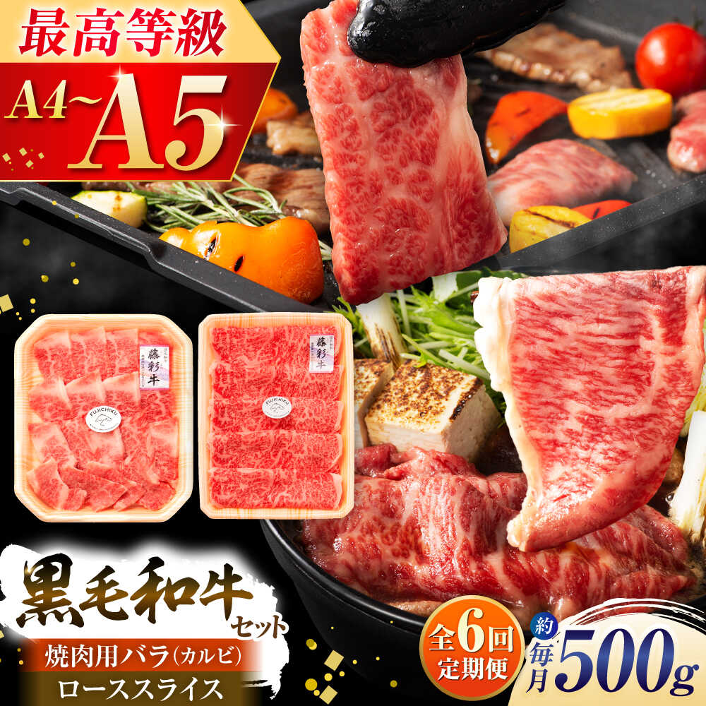 【ふるさと納税】【全6回定期便】くまもと黒毛和牛「藤彩牛」2種の食べ比べ計500g 3900 / 熊本県 菊陽町 肉 にく 新鮮 お祝 ギフト 贅沢 誕生日 ご褒美 厳選 牛 ぎゅう 【株式会社フジチク】[BHAD037]