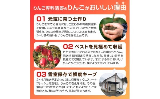 《先行受付》贈答規格 旬のりんご詰合せ約3kg（サンふじ確約3種以上）特秀～秀 大江町産【2026年12月上旬頃～発送予定】