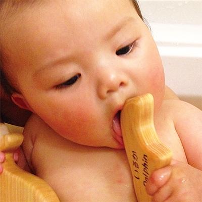 ふるさと納税 鯖江市 おふろであそぼう〜うみのともだち(イルカたち)〜　福井県産ひのきの木のおもちゃ　 |  | 02