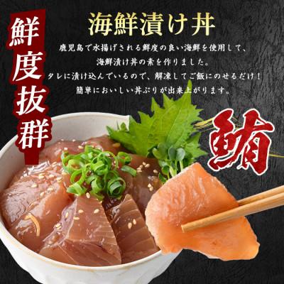 ふるさと納税 指宿市 マグロ漬け丼100g×10袋(IB039-001) |  | 01