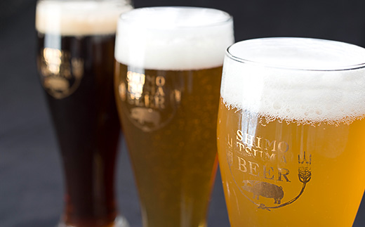 【クラフトビール×おつまみセット】ビール3本、ジャーキー3種【ビール クラフトビール ポークジャーキー ビーフジャーキー ソフトジャーキー 手作りジャーキー 飲み比べ 宅飲み ビール飲み比べ おつまみ