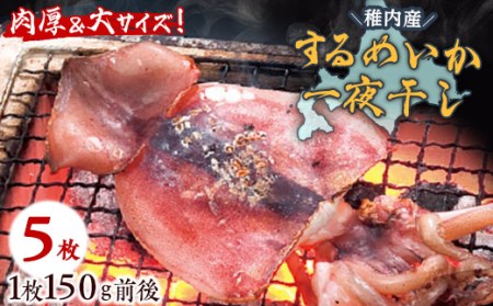 稚内産 するめいか一夜干し　大5枚セット【配送不可地域：離島・沖縄県】