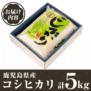 【A95001】令和7年産 鹿児島県産 コシヒカリ (5kg) 国産 自家精米 精米 白米 こしひかり 単一米 ごはん ご飯 お米 コメ こめ 【山下商店】