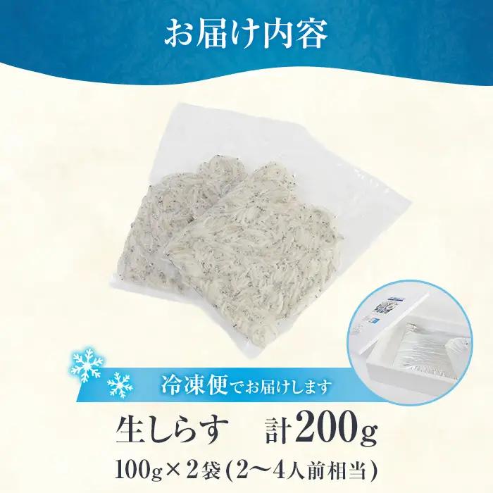 豊洋丸の鮮度抜群！ 生しらすセット (計200g・100g×2個) 【HK01】【OITAしらすhoyomaru豊洋丸】