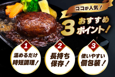 ハンバーグ 温めるだけ レンジ 湯煎 レトルト デミグラス 150g 18個 6回 定期便 総計16.2kg 小分け 個包装 [大黒物産 福岡県 宇美町 um40bak830022]