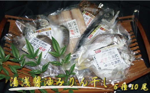 梅塩干物と湯浅醤油みりん干し6品種10尾入りの詰め合わせ【tec201】