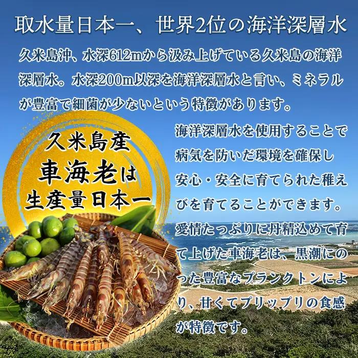 車海老【久米島漁協】活〆冷凍車海老　生食用250g 車えび 海鮮