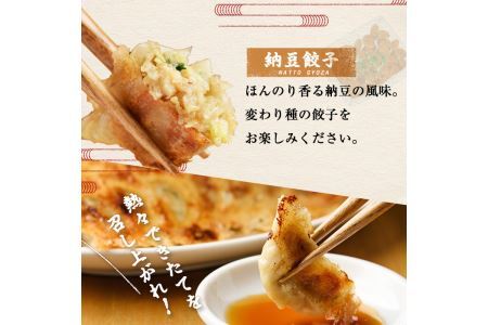 博多骨折り餃子と納豆餃子(合計100個・餃子50個＋納豆餃子50個)冷凍 一口 ひとくち ぎょうざ ギョウザ 手作り 国産 焼くだけ 簡単 タレ付き＜離島配送不可＞【ksg0540-D】【骨折り餃子貴