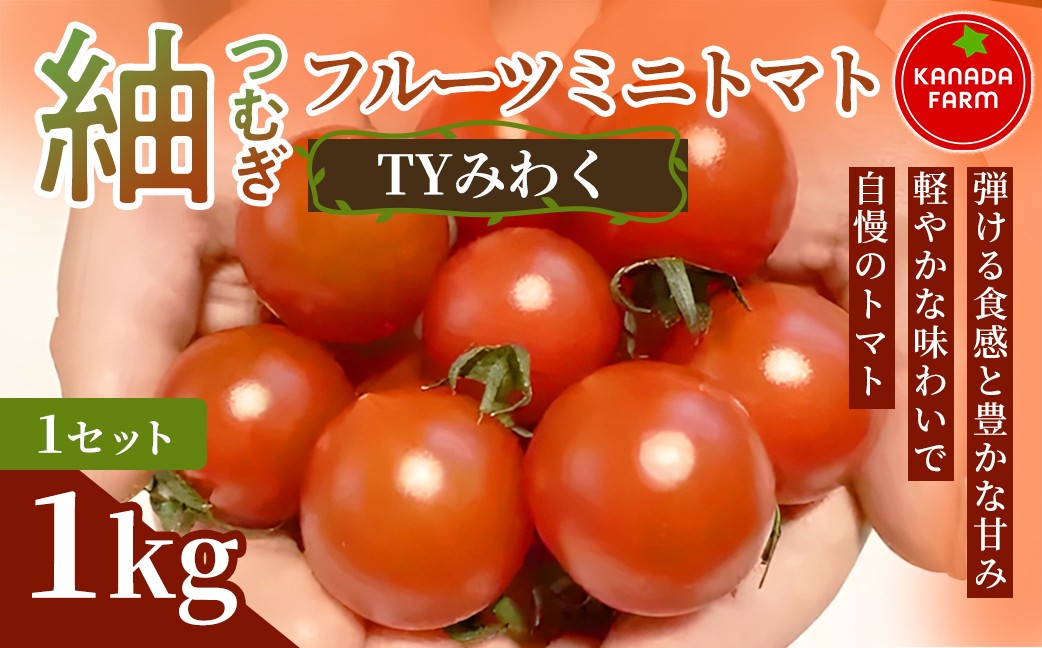 
                  《先行予約》 フルーツミニトマト つむぎ 1セット 3セット 定期便 甘い野菜 デザート感覚 おやつ スイーツ感覚 サラダ用 そのまま食べる 旬 家庭用 ミニトマト つむぎ ミニトマト つむぎ ミニトマト つむぎ ミニトマト つむぎ ミニトマト つむぎ ミニトマト つむぎ ミニトマト つむぎ ミニトマト つむぎ ミニトマト 甘い野菜 ミニトマト 甘い野菜 ミニトマト 豊橋 ミニトマト 豊橋
                
