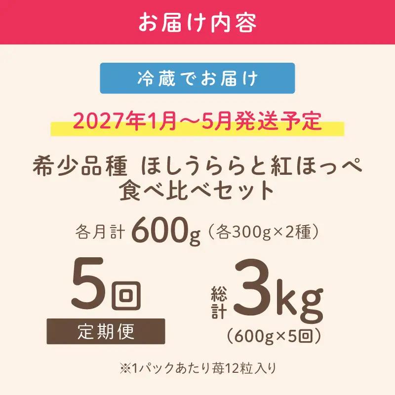 【2027年1月～5月発送予定】希少品種 ほしうらら と 紅ほっぺ の食べ比べセット 約600g（約300g×各種1パック×1箱）5ヶ月定期便【配送不可地域：北海道・沖縄・離島】【121B-009-2