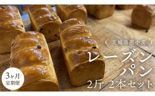 
            【 3ヶ月 定期便 】茨城県産 小麦の レーズンパン 2斤 2本 セット 食パン パン 小麦 冷凍 レーズン プレゼント ギフト [AU020ci]
          
