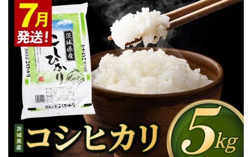 米 コシヒカリ 精米 5kg 令和8年産 茨城県産 お米 こめ コメ ごはん 白米 こしひかり 茨城県産米 単一米 単一原料米 安心 安全 送料無料 国産 人気 数量限定 （85-R8i025_07）