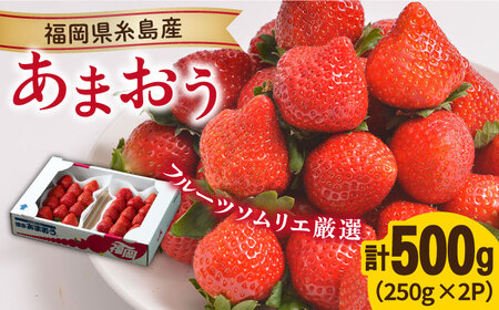 【先行予約】糸島産【冬】 あまおう 2パック 【2024年12月上旬以降順次発送】 《糸島》【南国フルーツ株式会社】 [AIK007]  いちご 苺 イチゴ あまおう 果物 フルーツ ストロベリー グルメ パフェ ケーキ パンケーキ あまおう苺 あまおうギフト あまおう贈り物 博多あまおう 福岡あまおう 九州いちご 糸島フルーツ あまおう あまおういちご あまおうイチゴ あまおう苺 あまおうギフト あまおう贈答 あまおうケーキ あまおうタルト あまおう贈り物 あまおうプレゼント あまおう数量限定 あまおう期