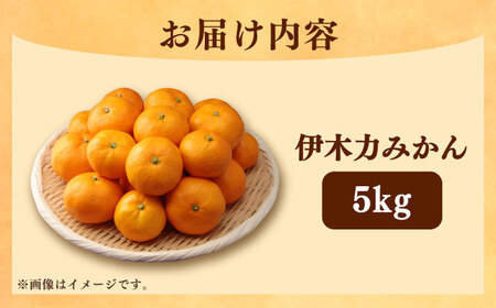 伊木力みかん 5kg（箱込み）長与町/岩永農園[EAZ006]