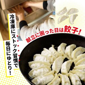餃子 おトク餃子 大容量 100個セット