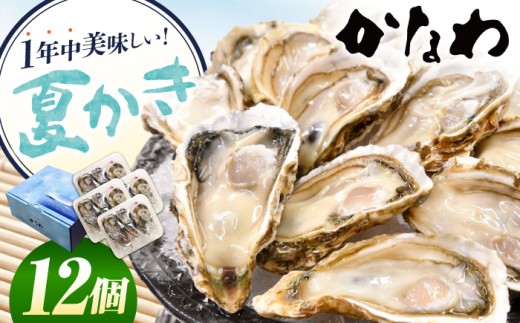 【生牡蠣】かなわのハーフシェル『夏かき』12個入り 江田島市／株式会社かなわ [XBP013]｜生牡蠣 生食用 牡蠣 生食 殻付き 殻付 殻 かき カキ 生牡蠣 広島牡蠣 オイスター ハーフシェル 夏かき 魚介類 魚介 貝類 海鮮 広島県産 国産 産地直送 贈答 ギフト 特産品 牡蠣
