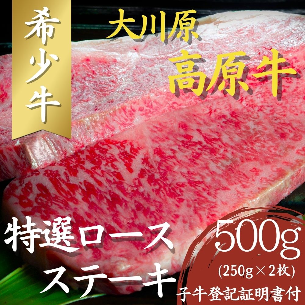 【年間10頭！】大川原高原牛 特選ロースステーキ 250g×2枚 計500g 冷凍便 肉の藤原 《30日以内に出荷予定(土日祝除く)》和牛 希少 大川原高原 牛肉 焼肉  ロース 牛肉 ステーキ 贅沢  バーベキュー BBQ  キャンプ ギフト 贈答 徳島県 佐那河内村 s-18