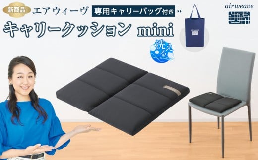 
            エアウィーヴ キャリークッションmini airweave エアウィーブ 洗える 洗濯可能 蒸れにくい クッション 座布団 ざぶとん 椅子 人気 おすすめ 愛知県 大府市
          