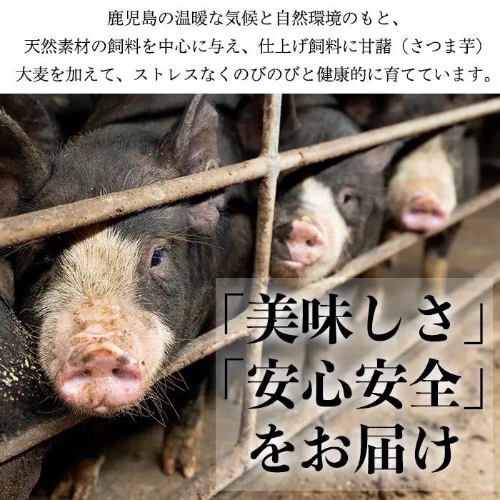 No.404 鹿児島県産黒豚肉使用！黒豚切り落とし合計1.3kg超！(150g×9P)国産 九州産 黒豚 豚肉 切り落とし 切落し 生姜焼き すき焼き 小分け 冷凍【コワダヤ】
