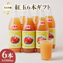 【ふるさと納税】大江の恵 昔なつかしのすっきり紅玉6本ギフト(各1000ml) 飲料類 果汁飲料 果汁100% りんご ジュース 林檎 リンゴ アップル