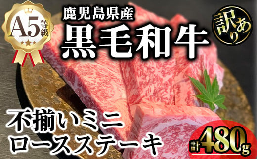 【訳あり】鹿児島県産A5等級黒毛和牛不揃いロースミニステーキ (計480g) 黒毛和牛 ロースステーキ 冷凍【KNOT】 A641