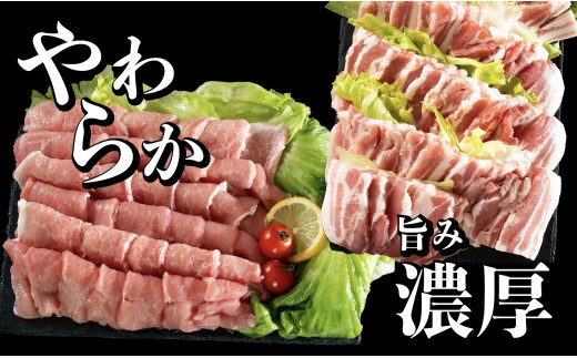 [B603］《定期便》長崎県産豚 バラ･ロース 焼肉用 2種食べ比べ 計1kg(バラ500g×1･ロース500g×1)【6回お届け】