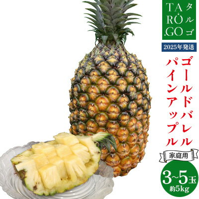 【ふるさと納税】【規格外・家庭用】TARUGO　ゴールドバレルパイン　約5kg（3～5玉）2025年発送 家庭用 パイン パインアップル パイナップル タルゴ タルゴゴールド ゴールドバレル 葉ナシ ご自宅用 訳あり 国産パイン 規格外 生産者応援 農家応援 高級フルーツ 大玉 国産