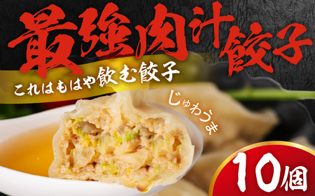 とよはし お試しサイズ『最強肉汁餃子』10個入り 簡易包装　新感覚！餃子
