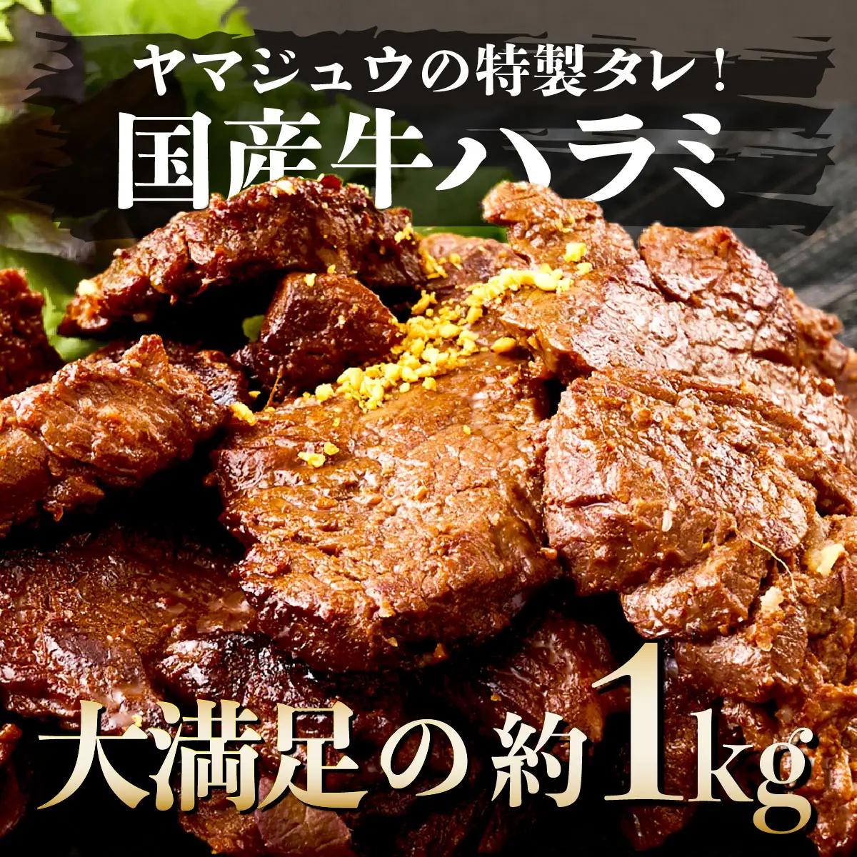 ヤマジュウの特製タレ漬け！牛ハラミ肉１ｋｇ FN-Limited-PR