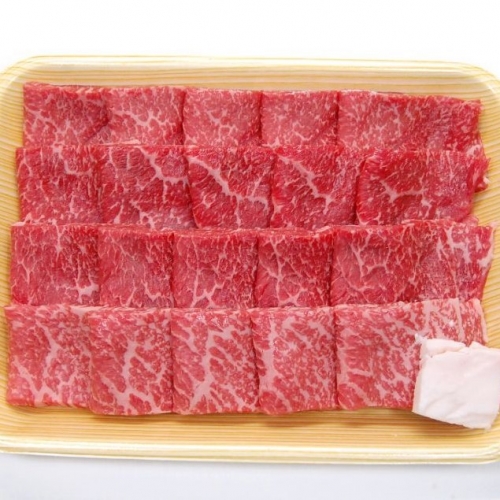 飛騨市産 5等級飛騨牛 焼肉用 500g 冬ギフト お歳暮[Q353]