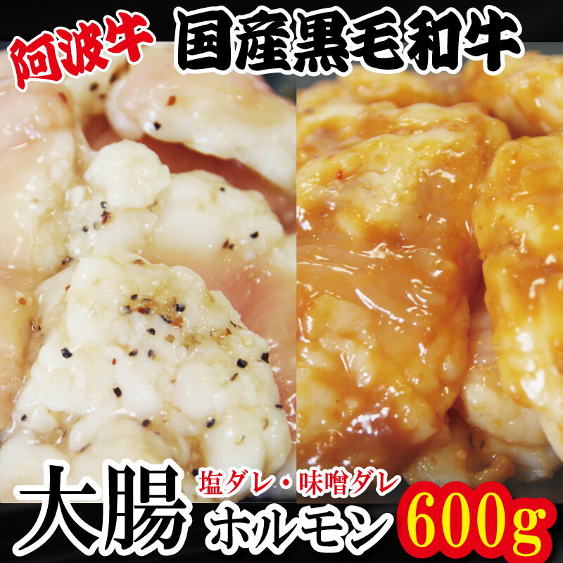 【ふるさと納税】 ホルモン 大腸 阿波牛 200g×3パック 小分け 計600g 国産 塩 味噌 牛 黒毛和牛 鍋 焼肉 脂 焼き ホソ もつ 肉 牛肉 BBQ 【北海道・東北・沖縄・離島への配送不可】
