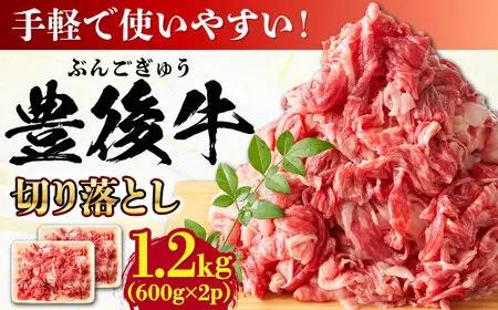 【大容量パック！】 おおいた豊後牛 牛肉 切り落とし 1.2kg (600g×2) 豊後牛 牛肉 切り落とし 大分 冷凍 [AREI004]