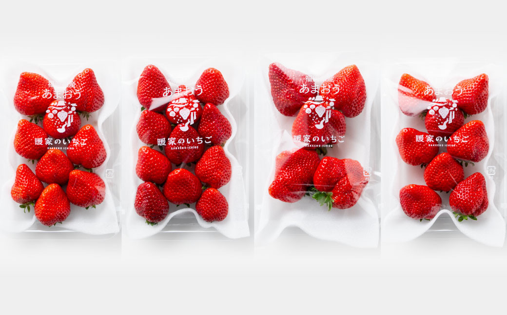 【訳あり】完熟あまおう 4パック いちご 苺 イチゴ フルーツ 果物 くだもの あまおう ギフト 冷蔵 苅田町