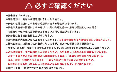 ラ・フランス (特秀) 3kg【化粧箱入り】 山形県産 フルーツ 果物 【2025年11月上旬-12月上旬発送予定】