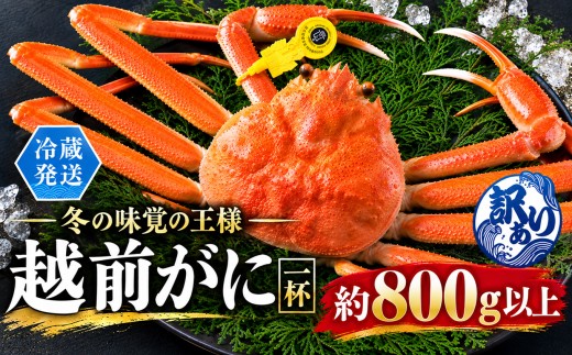 越前がに（オス）訳あり「ずわいがに」（800g以上） 1杯