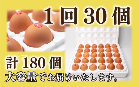 たまご 卵 定期便 6ヶ月 分 30個 × 6ヶ月 計 180個  ( 26個 ＋ 割れ保障 4個 ) ×3ヶ月分 産みたて 生たまご ( 新鮮卵 卵10個×3パック 卵30個 下関の卵 豊北卵 ハー