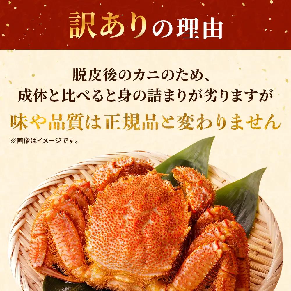 【訳あり】毛ガニ 300g~350g×1杯 毛ガニ 【AF】