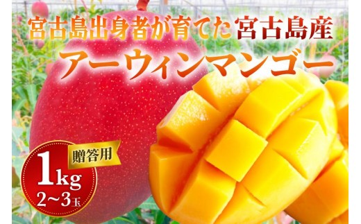 
                  【贈答用】宮古島産マンゴー1kg ＜リトルグローブ＞（LT001）
                