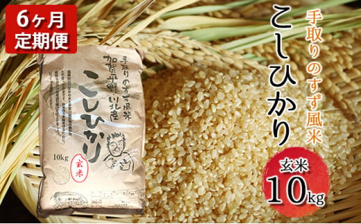 [№5528-0022]【令和4年度産】手取りのすず風米こしひかり 玄米 10kg 6ヶ月連続