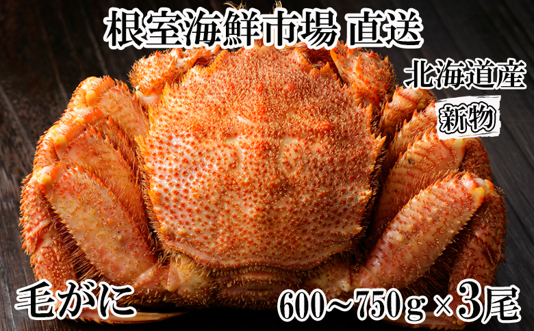 <年内配送可>根室海鮮市場<直送>ボイル毛がに600～750g×3尾 D-28062