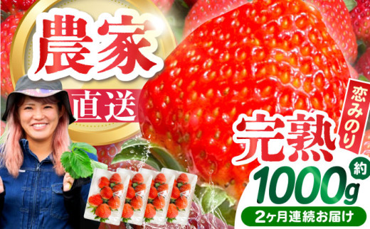 【2026年1月 初回発送】【2回定期便】南島原産 いちご 「恋みのり」約260g×4P / イチゴ 苺 フルーツ 果物 / 南島原市 / あゆみfarm [SFF002]