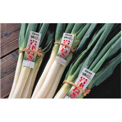 ふるさと納税 朝来市 【半生】岩津ネギうどん8人前(2人前×4袋)※つゆ付き　|朝来市特産岩津ねぎ使用|のどごしつるつる |  | 01