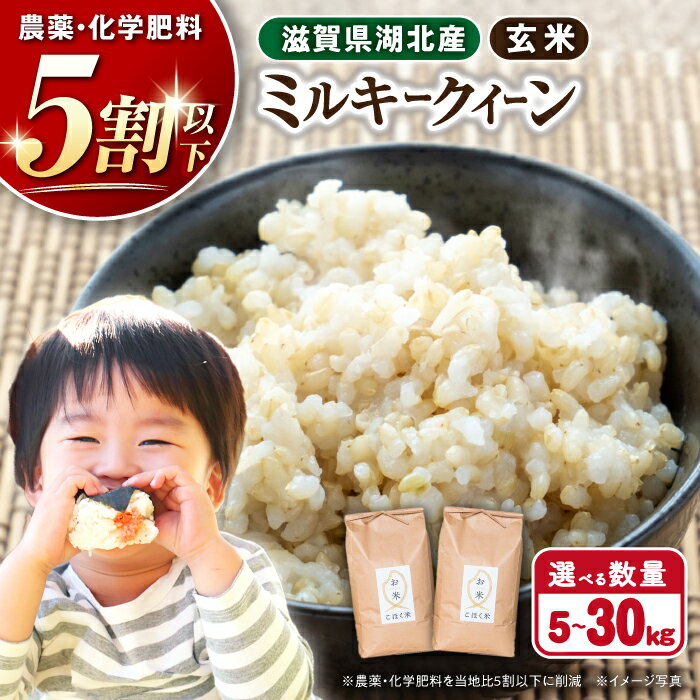 【ふるさと納税】＜選べる内容量＞【令和7年産新米】【環境こだわり米】滋賀県産 湖北のミルキークイーン 玄米5kg～30kg 米 お米 ご飯 ごはん ゴハン 長浜市/株式会社エース物産[AQAK009] 米 5kg 10kg 20kg 30kg ミルキークイーン 玄米 近江米 新米 産地直送 健康志向